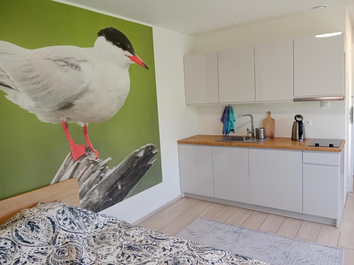 Apartamenty I Domki Osinscy برانييوو المظهر الخارجي الصورة
