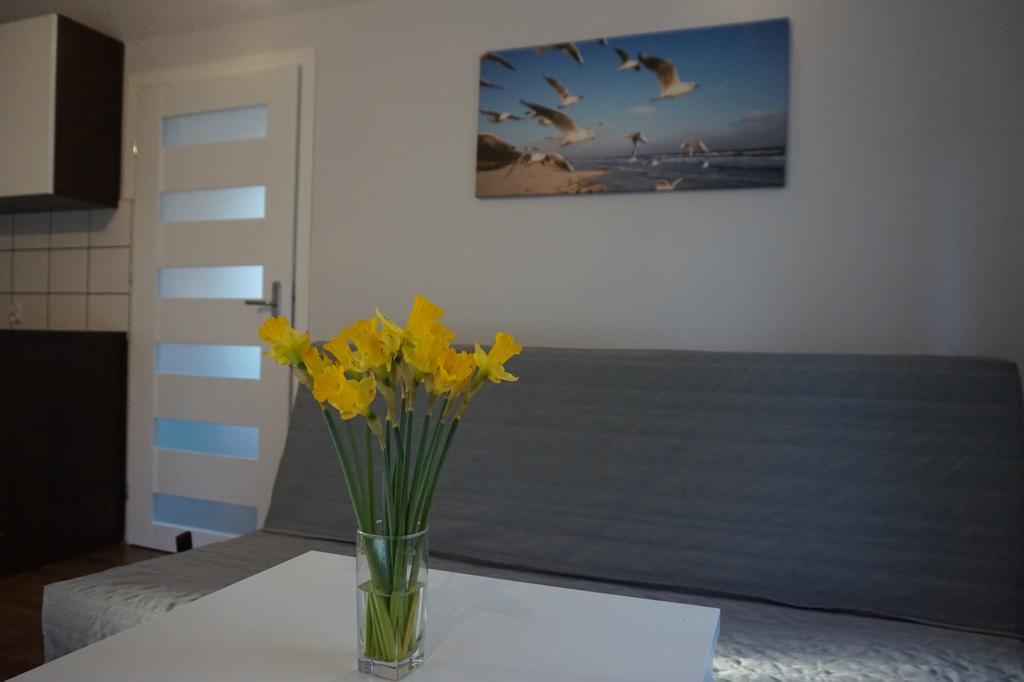Apartamenty I Domki Osinscy برانييوو المظهر الخارجي الصورة
